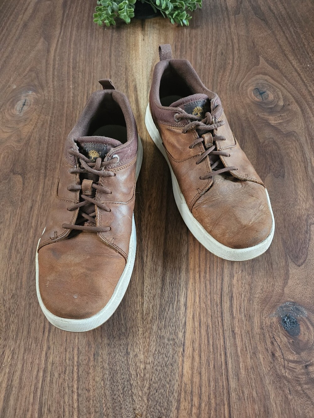 Mens Timberland Leather Sneakers